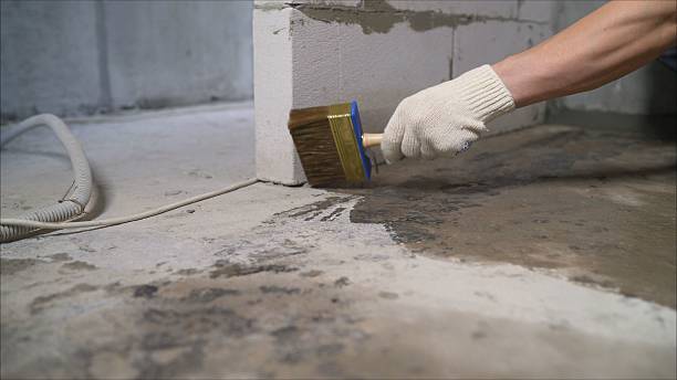SJ Waterproofing Pros Waterproofing coverage map for Clifton, IL and surrounding area